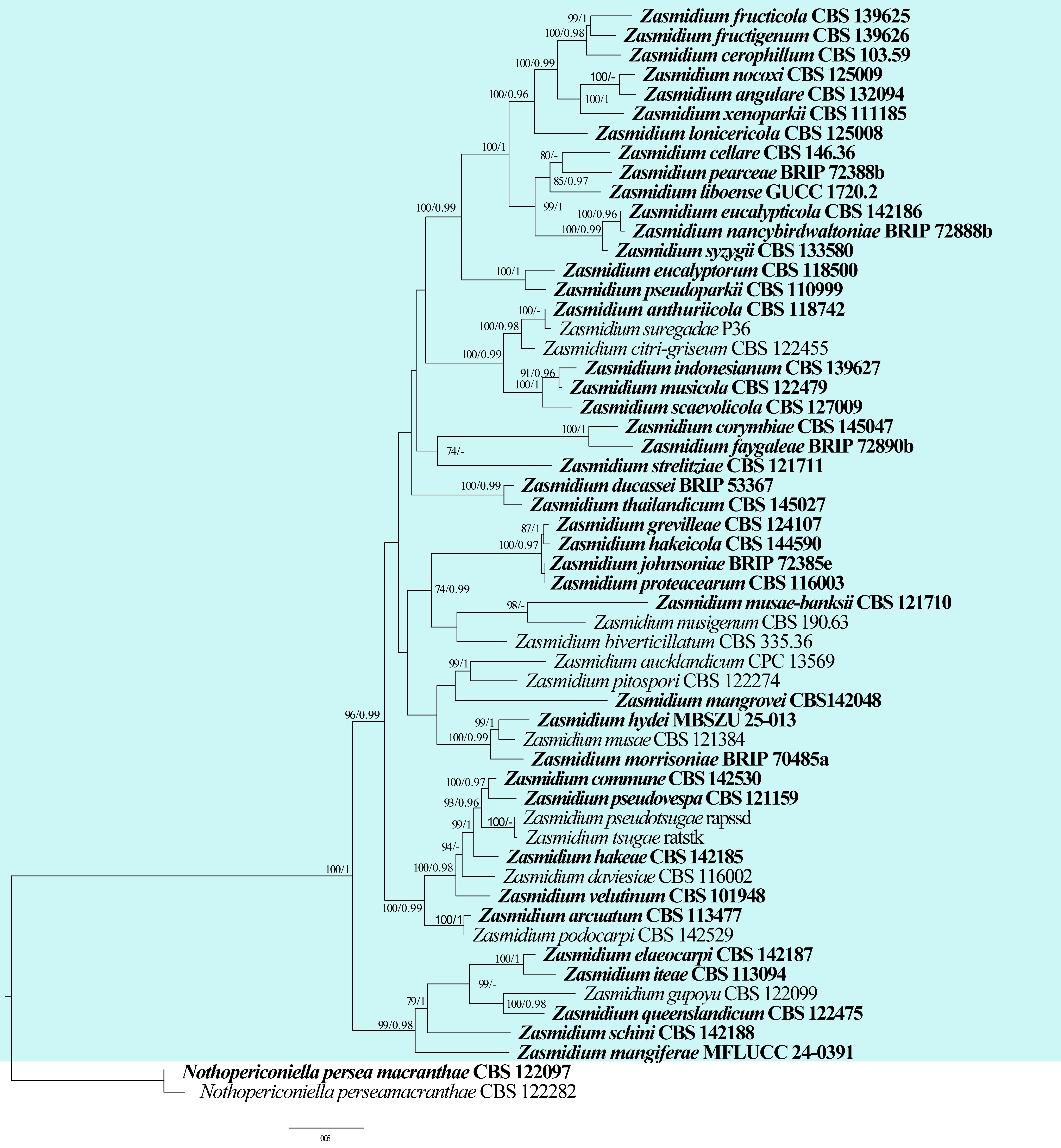 Figure 51